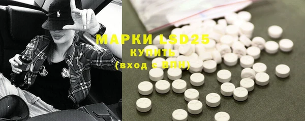ECSTASY Болотное