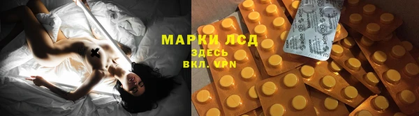 молекула духа Болхов