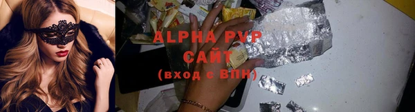 ECSTASY Болотное
