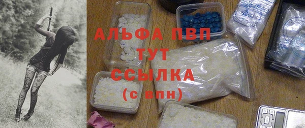 гидра Кинешма